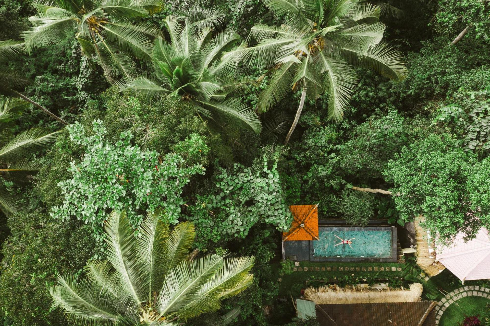 The Nest In Ubud, Bembengan Cottage Dış mekan fotoğraf
